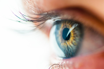 Beautiful Human Eye with Long Eyelashes Macro View. Amazing View of Iris Close-Up - obrazy, fototapety, plakaty