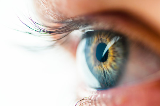 Beautiful Human Eye with Long Eyelashes Macro View. Amazing View of Iris Close-Up