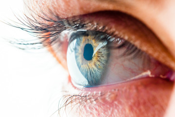 Beautiful Human Eye with Long Eyelashes Macro View. Amazing View of Iris Close-Up