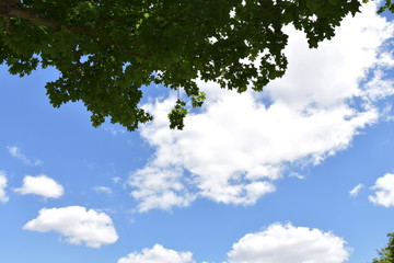Blue Sky