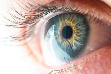 Human Eye Macro View