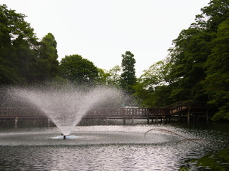 japan tokyo shinjuku park