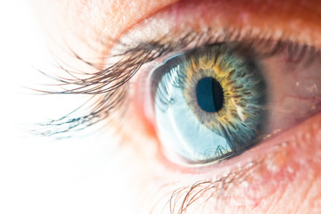 Human Eye Macro View