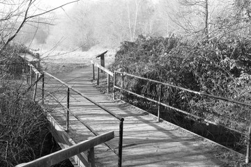 Black and White Bridge