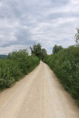Sentier de terre tout droit dans la nature