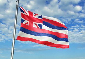 Hawaii state of United States flag waving sky background 3D illustration