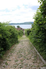 Chemin de pavés dans la nature