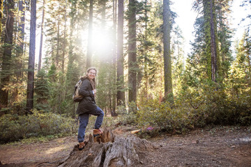 Fototapeta premium Woman in Yosimite national park near sequoia in California, USA