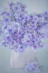 Beautiful bouquet of purple hydrangea in a vase on the table.Blue background.Pastel tonality.