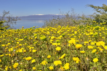 A View of Ohrid Lake, Macedonia