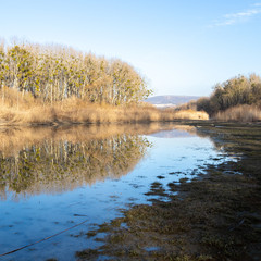 Lichtstimmung am Nebenarm der Donau