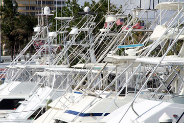 dozend of fishing boats in harbour