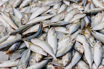 Obraz premium Mackerel fish piling on the floor in the Thai street fish market