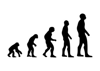 silhouettes of human evolution