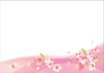 桜の美しい背景素材