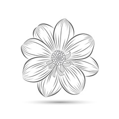 Abstract hand-drawn monochrome flower dahlia. Element for design.