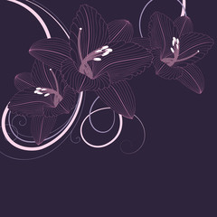 Hand-drawing floral background with flower lily.