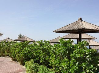Fototapeta na wymiar Exotic plants and beach umbrellas at tropical resort on sunny day