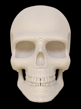 Voxel skull on a black background.