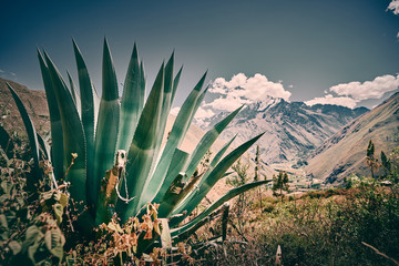 Andes Mountains, Peru