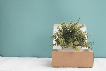 Little decoration tree growing in package brown cardboard box or tray on bright white wooden table with blue wall background. copy space.