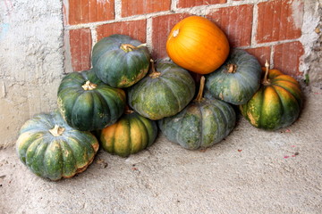 Large green and yellow freshly picked pumpkins on concrete floor next to red brick wall on warm sunny day