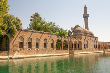 The Pool of Abraham - Balikligol - Sanliurfa - Turkey