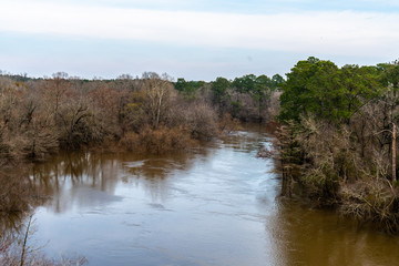 A stroll through thee woods