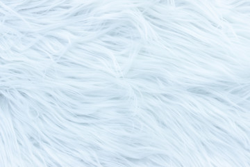 Obraz premium close up wool