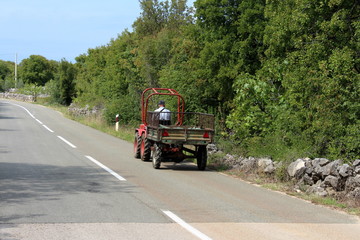 Man with working hat driving small tractor with metal trailer on side of the paved road surrounded with improvised stone wall and dense trees on clear blue sky background