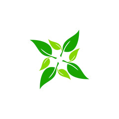 Obraz premium Modern Green Leaf Eco Icon Template Logo