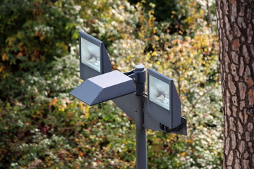 Modern reflector lights on public street light mounted on metal pole next to tall tree with dense...