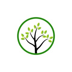 tree eco, green tree, tree leaf in the circle logo design vector illustration