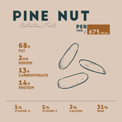 Obraz premium Nutrition facts of pine nut, hand draw sketch vector.