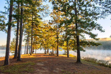 Picnic Area at Clarke's Hill Lake at Mistletoe State Park, Georgia	