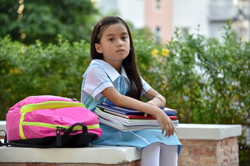 Serious School Girl Wearing School Uniform