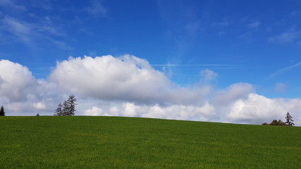 Fototapeta na wymiar sky, grass, field, green, landscape, blue, meadow, clouds, Switzerland, nature, cloud, summer, horizon, spring, day, white, cloudy, agriculture, beautiful, land, weather, rural, hill, environment, 