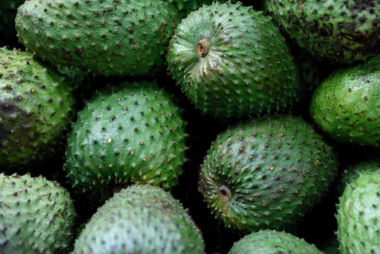 2 967 Best Soursop Images Stock Photos Vectors Adobe Stock 2 967 Best Soursop Images Stock Photos Vectors Adobe Stock