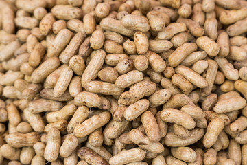 Many peanuts in shells