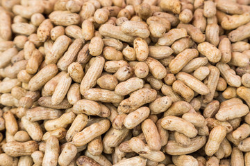 Many peanuts in shells