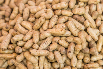 Many peanuts in shells