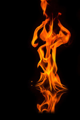 Fototapeta premium Fire flames on a black