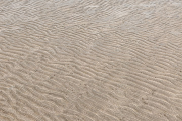 Naklejka na ściany i meble Yellow wave sand texture on the beach