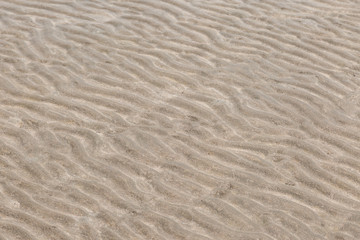 Yellow wave sand texture on the beach
