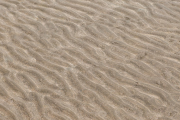 Yellow wave sand texture on the beach
