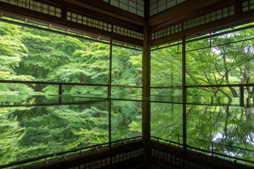 京都,瑠璃光院の逆さ新緑