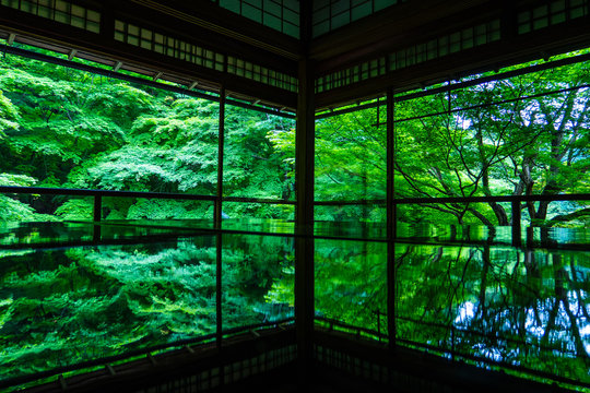 京都 瑠璃光院 逆さ新緑