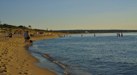 People enjoying beach time on sunny day