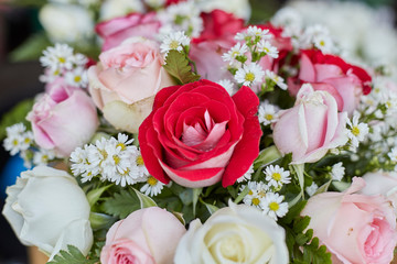 Red rose in the middle of other colors of flowers. Flowers bouquet a gift for Valentine's day. Close up and selective focused.