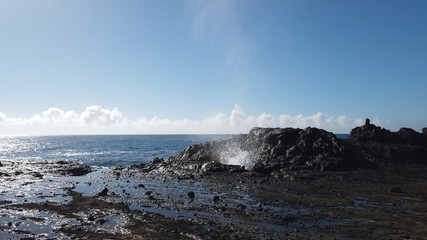 Hawaiian Adventures - Mountains, Beaches, Trees, Hiking and Waterfalls